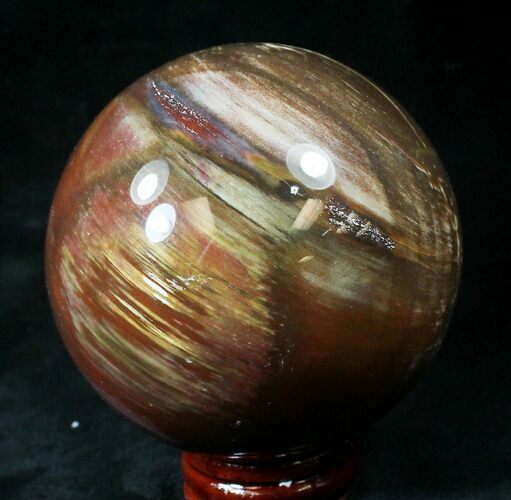 Colorful Petrified Wood Sphere #20619